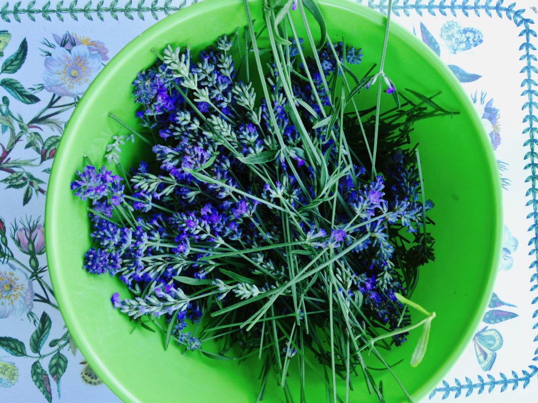 Lavender blossoms in a green bowl