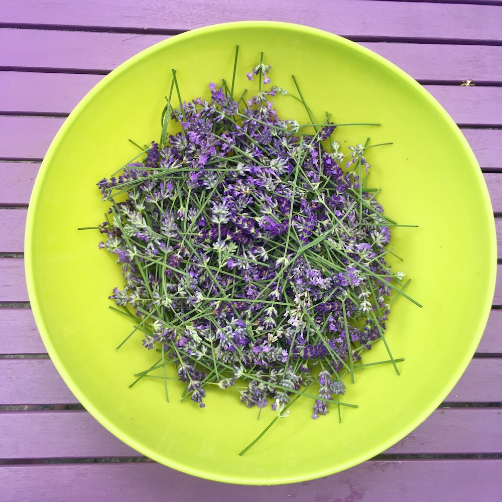 Lavender in a bowl