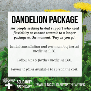 Dandelion - Follow Up & Medicine