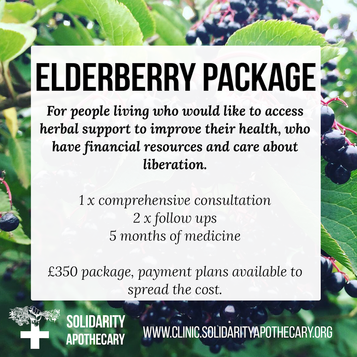 Elderberry Package